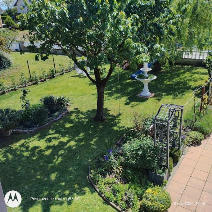 Gite Alsace Appenwihr Exterior foto